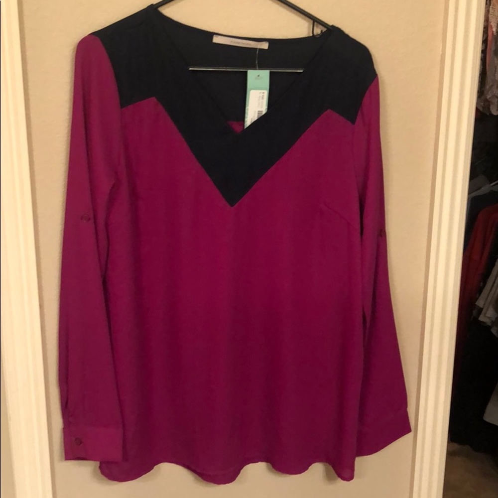 Pink and navy blouse